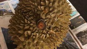 国产榴莲翻车了吗图片视频,一场视觉与味觉的碰撞