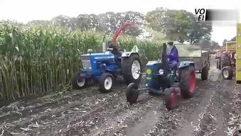 国产小型收割机视频,高效便捷的田间利器  第1张