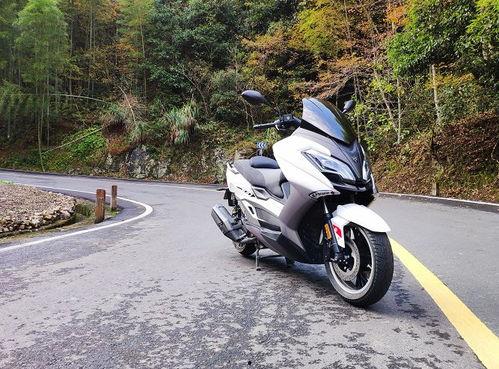 国产大踏板视频,性能与魅力的完美融合